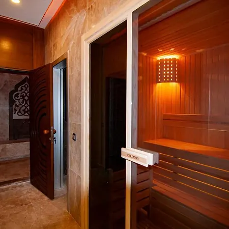 Kurt Safir Euro 20 *